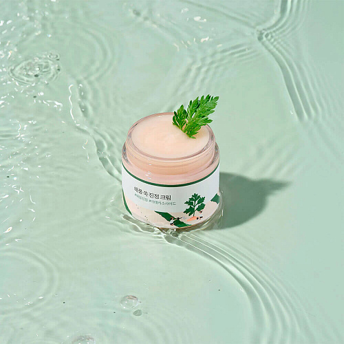 ROUND LAB Лёгкий успокаивающий крем с полынью Mugwort Calming Cream, 80 мл